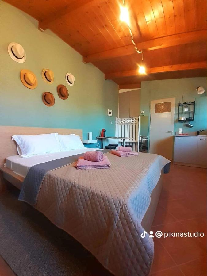 Apartment Pikinas Near Ath Airport *